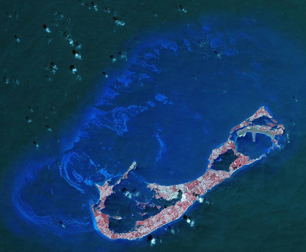 День Землі 2019 - фото 12546