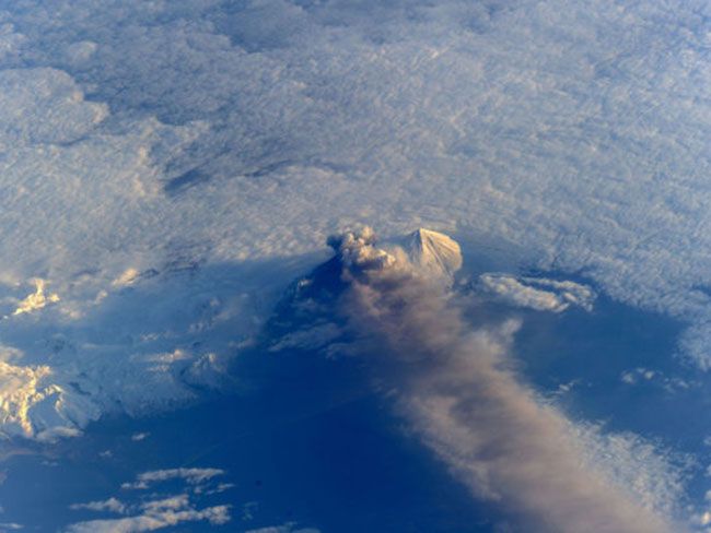 День Землі 2019 - фото 12550