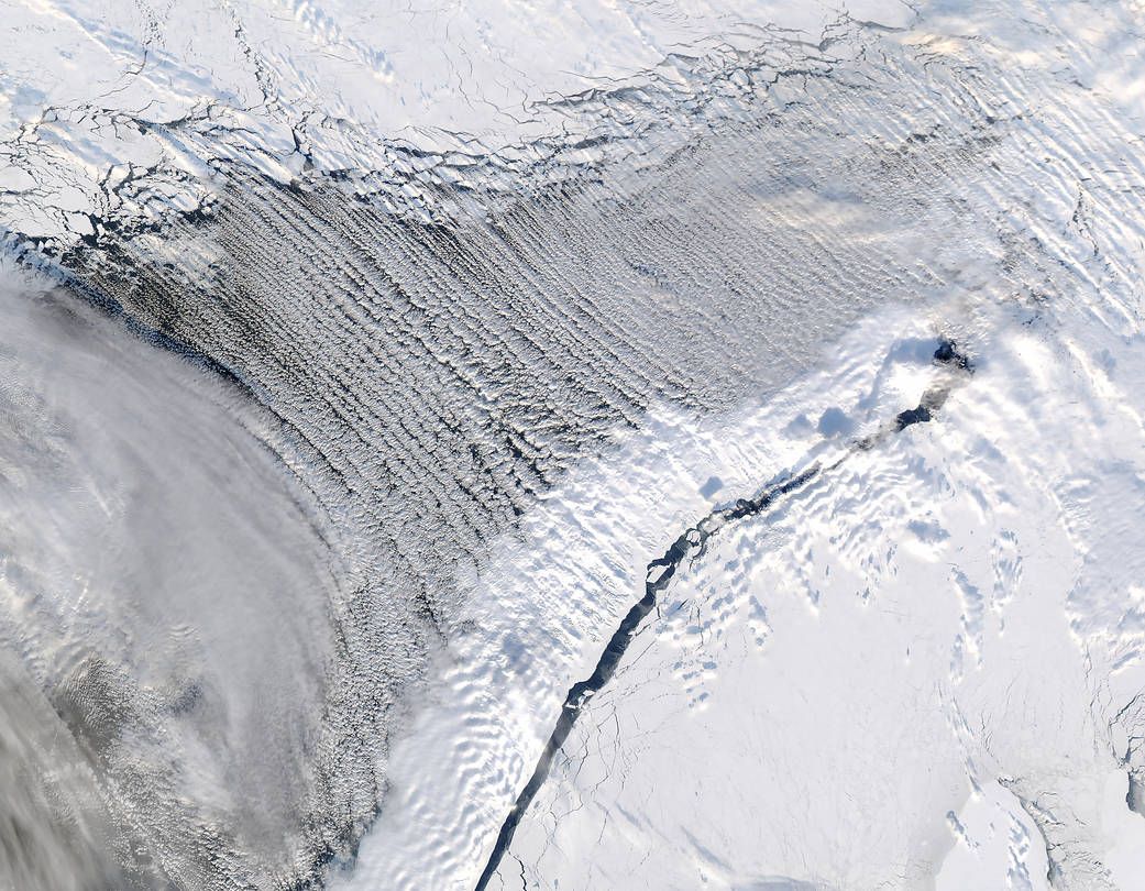 День Землі 2019 - фото 12537