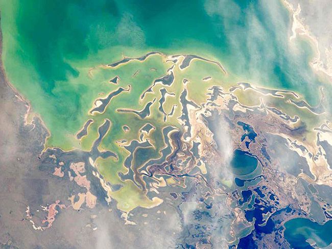 День Землі 2019 - фото 12551