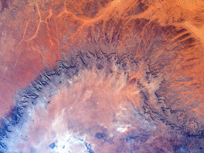 День Землі 2019 - фото 12549