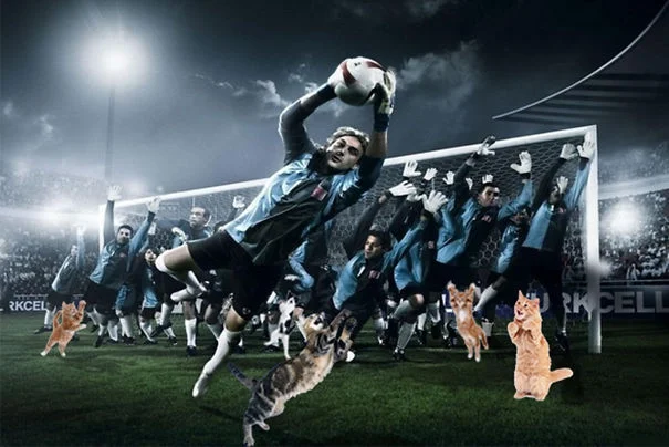 Коты и футбол: фото, которые оценит каждый настоящий мужчина - фото 327888