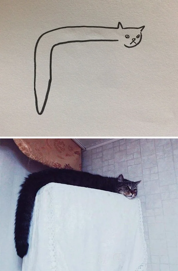 Художник з почуттям гумору перетворює дурні фото котів у ще дурніші малюнки - фото 328642