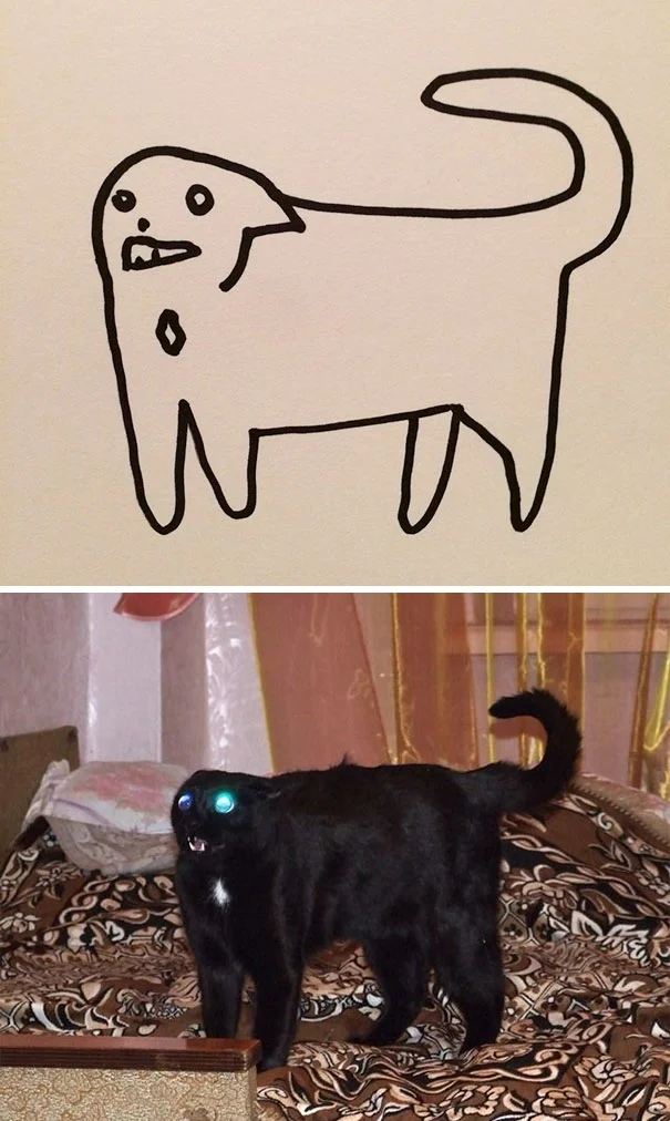 Художник з почуттям гумору перетворює дурні фото котів у ще дурніші малюнки - фото 328629