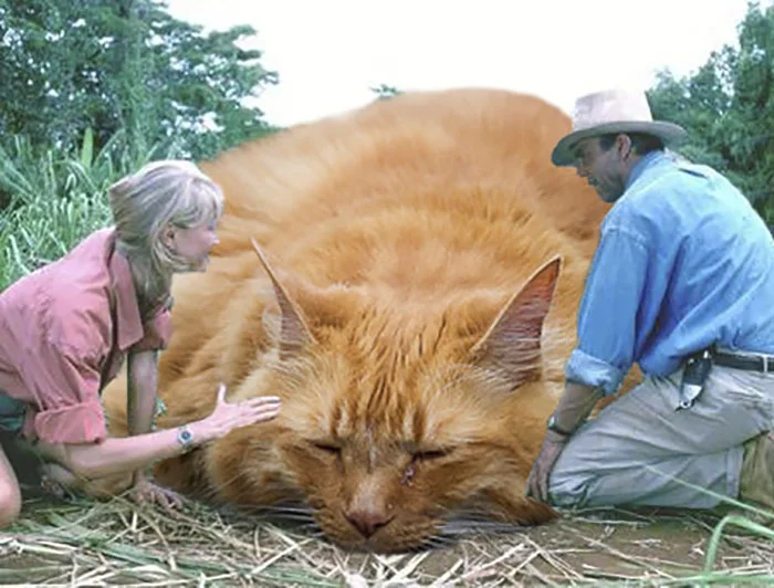 Парк котячого періоду: хтось замінив у фільмі динозаврів на котів, і це дуже весело - фото 329742