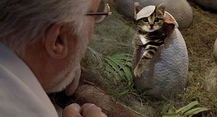 Парк котячого періоду: хтось замінив у фільмі динозаврів на котів, і це дуже весело - фото 329758