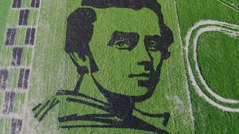 На херсонском поле из риса вырастили гигантский портрет Шевченко - фото 327602