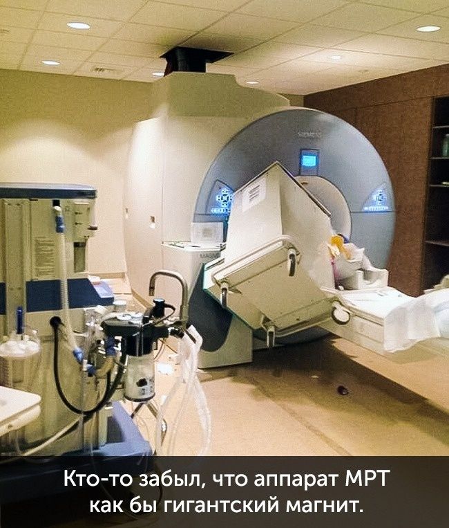 Фото, которые доказывают, что ты еще тот счастливчик - 330206 Фото, которые доказывают, что ты еще тот счастливчик - фото 330206