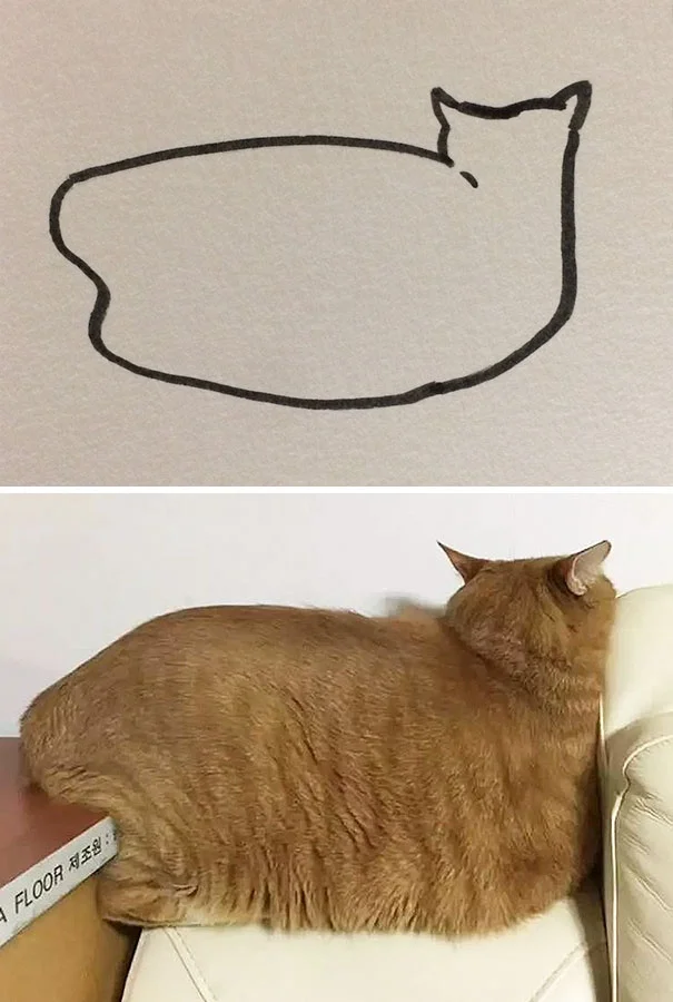 Художник з почуттям гумору перетворює дурні фото котів у ще дурніші малюнки - фото 328639