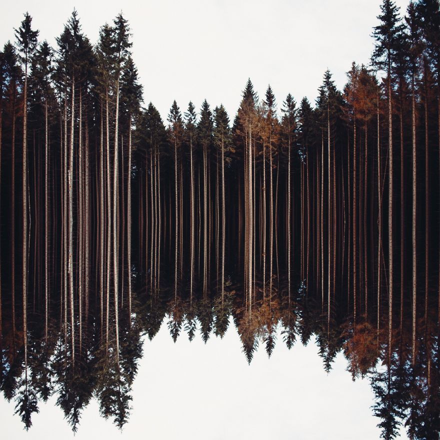10 казкових фото з престижного фотоконкурсу, які дарують відчуття щастя - 330193 10 казкових фото з престижного фотоконкурсу, які дарують відчуття щастя - фото 330193