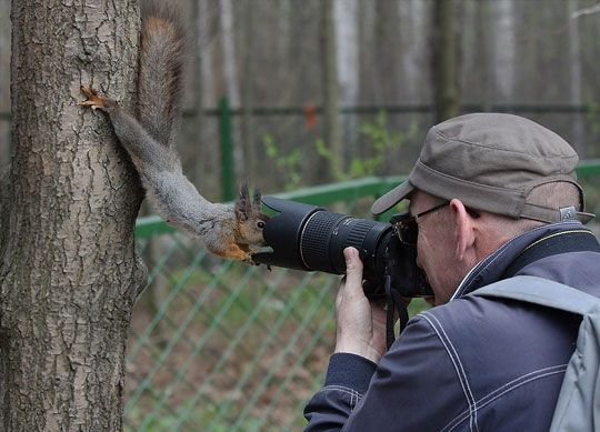 День фотографа: веселые фото, которые доказывают, что быть фотографом - круто - 326902 День фотографа: веселые фото, которые доказывают, что быть фотографом - круто - фото 326902