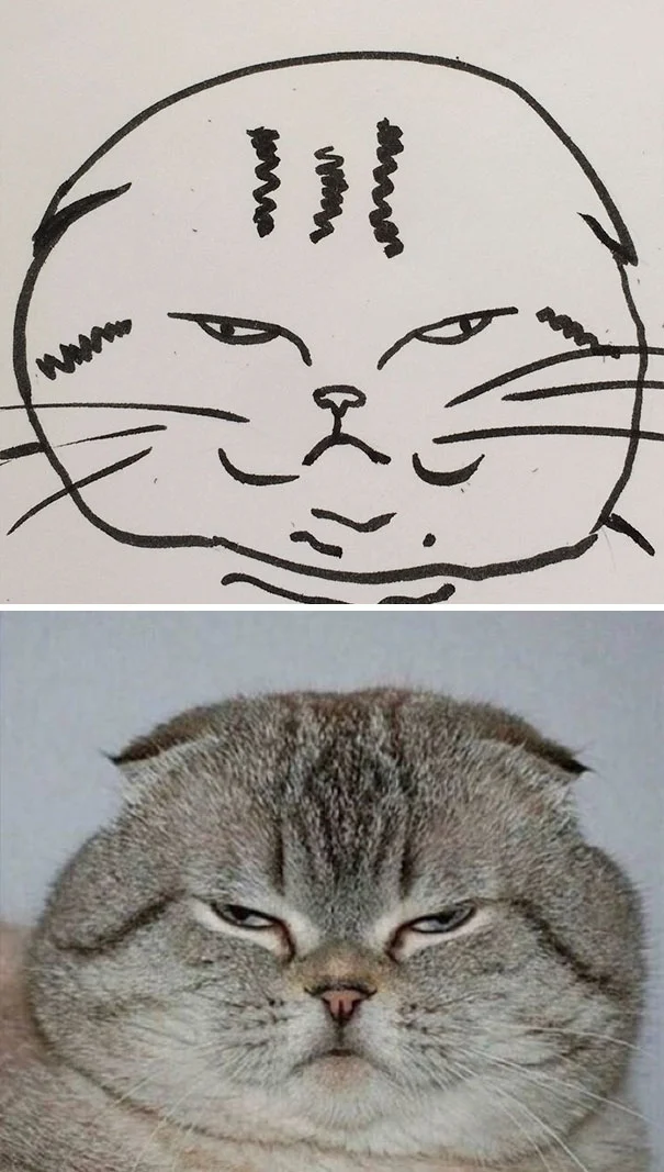 Художник з почуттям гумору перетворює дурні фото котів у ще дурніші малюнки - фото 328632
