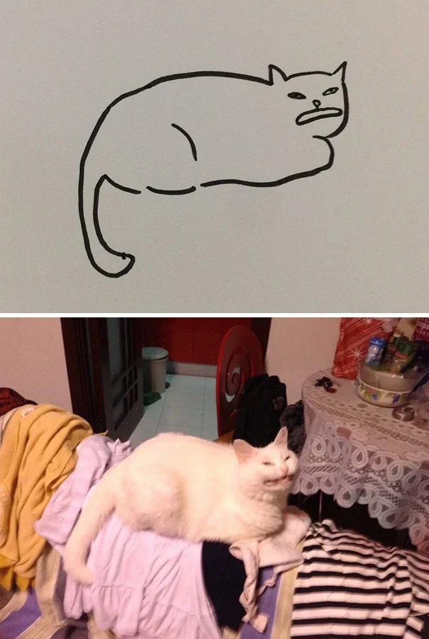 Художник з почуттям гумору перетворює дурні фото котів у ще дурніші малюнки - фото 328638