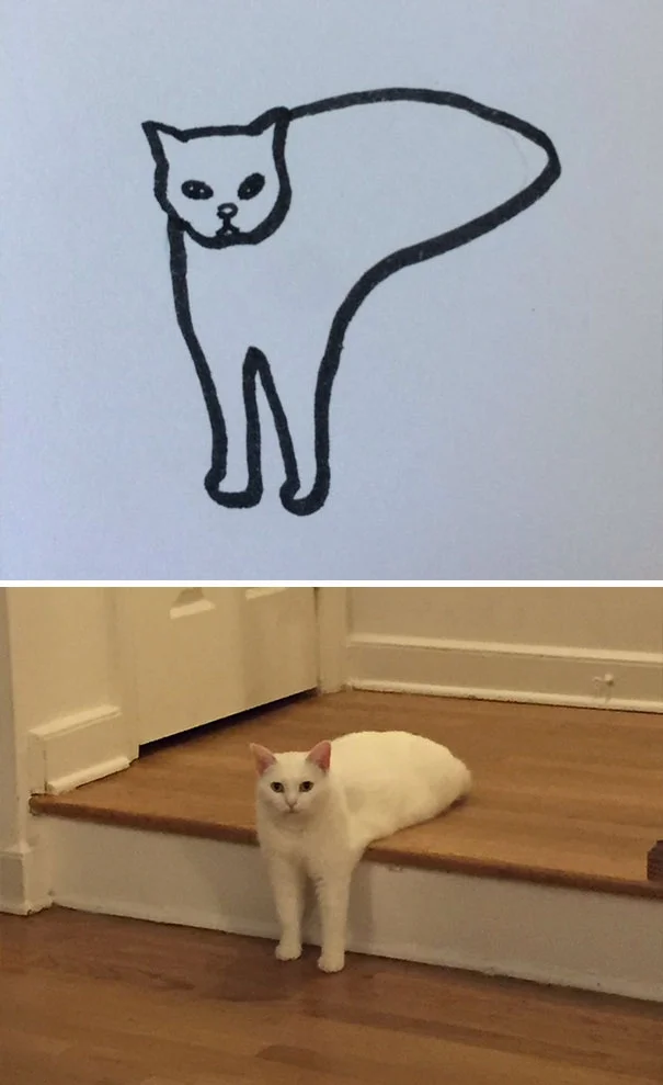 Художник з почуттям гумору перетворює дурні фото котів у ще дурніші малюнки - фото 328628