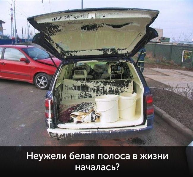Фото, которые доказывают, что ты еще тот счастливчик - 330218 Фото, которые доказывают, что ты еще тот счастливчик - фото 330218
