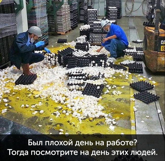 Фото, которые доказывают, что ты еще тот счастливчик - 330226 Фото, которые доказывают, что ты еще тот счастливчик - фото 330226