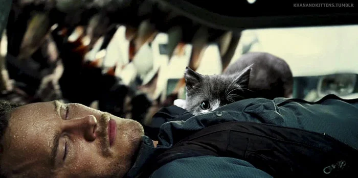 Парк котячого періоду: хтось замінив у фільмі динозаврів на котів, і це дуже весело - фото 329749