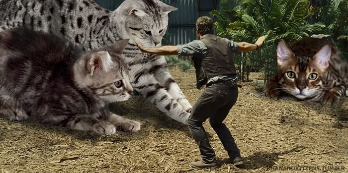 Парк котячого періоду: хтось замінив у фільмі динозаврів на котів, і це дуже весело - фото 329747