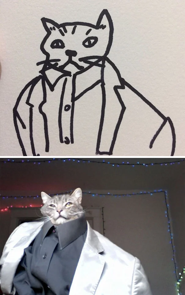 Художник з почуттям гумору перетворює дурні фото котів у ще дурніші малюнки - фото 328626