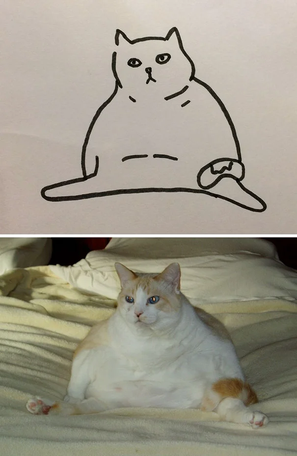 Художник с чувством юмора превращает глупые фото котов в рисунки еще глупее - фото 328634