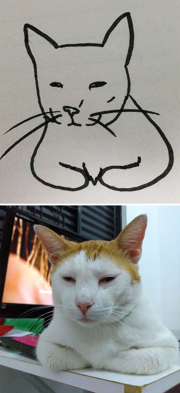 Художник с чувством юмора превращает глупые фото котов в рисунки еще глупее - фото 328635