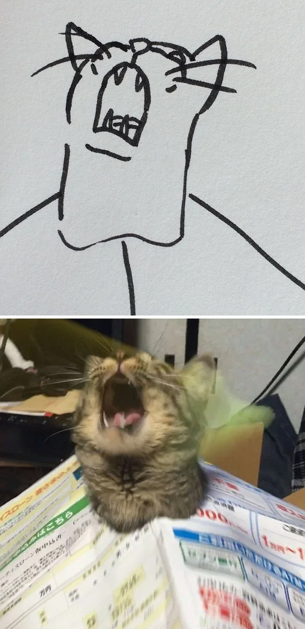 Художник з почуттям гумору перетворює дурні фото котів у ще дурніші малюнки - фото 328637