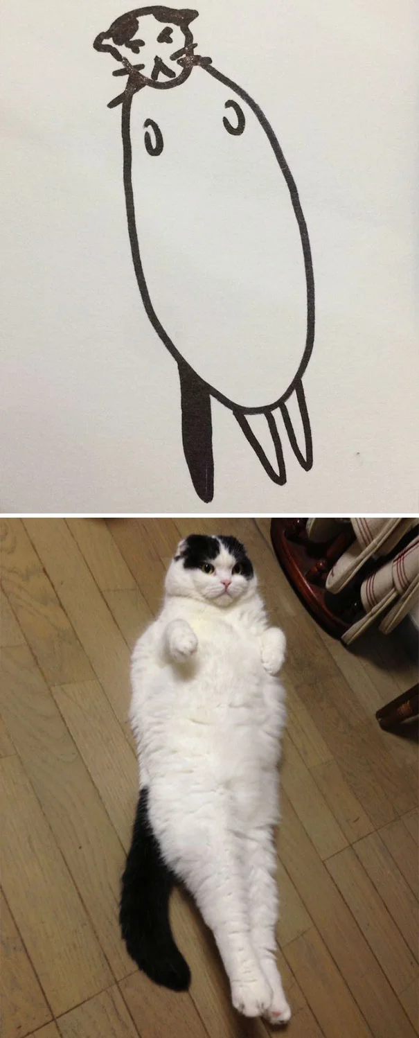 Художник з почуттям гумору перетворює дурні фото котів у ще дурніші малюнки - фото 328627