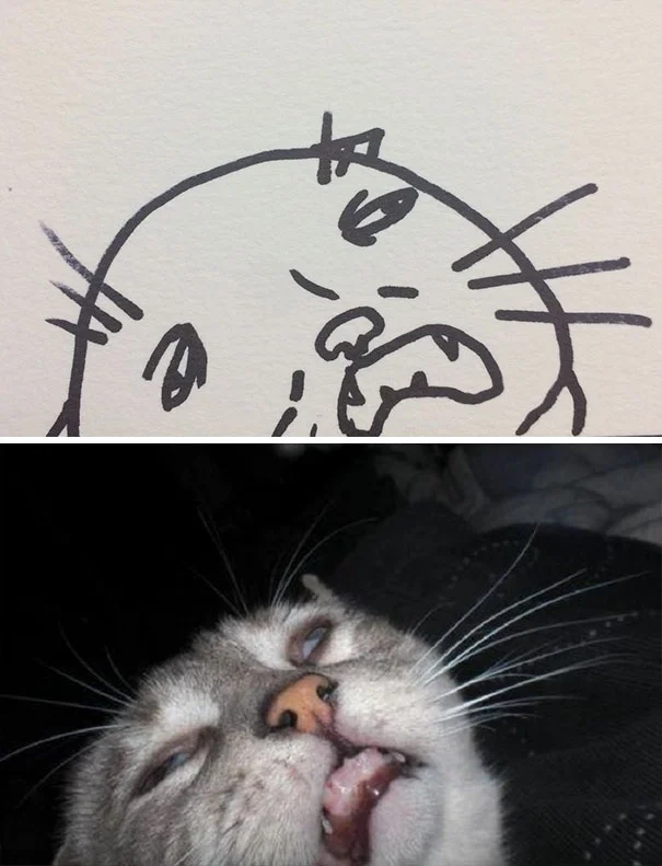 Художник с чувством юмора превращает глупые фото котов в рисунки еще глупее - фото 328625