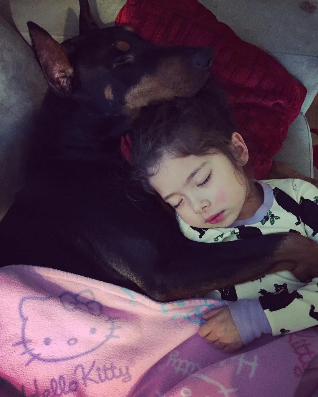 Дивовижна дружба малої дівчинки і величезного собаки - це наймиліше, що ви бачили - фото 334734