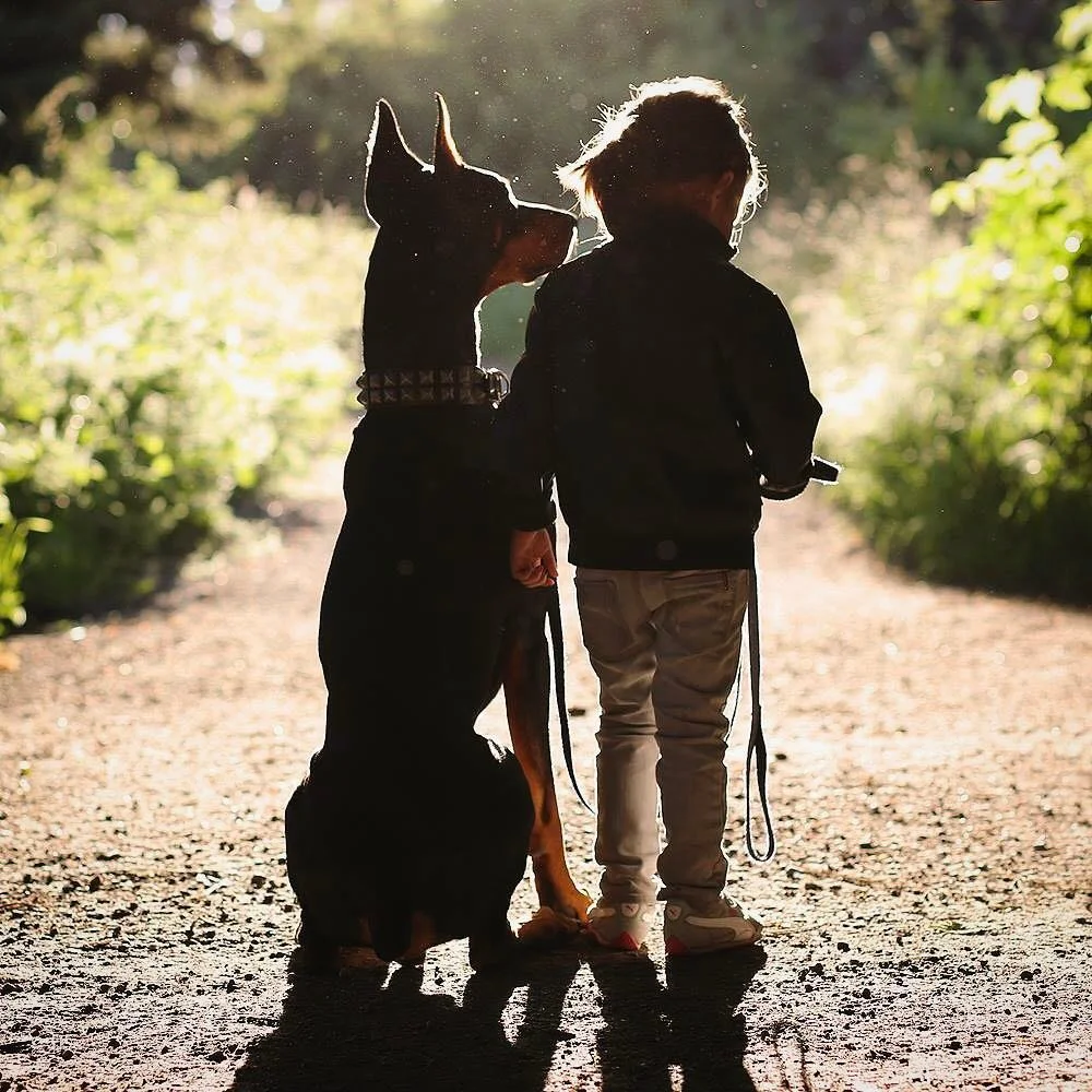 Удивительная дружба маленькой девочки и огромной собаки - это самое милое, что вы видели - фото 334738