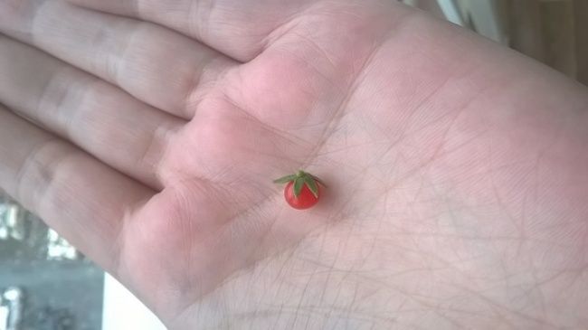 Странные продукты, которые вы никогда в жизни не захотите есть - фото 334690
