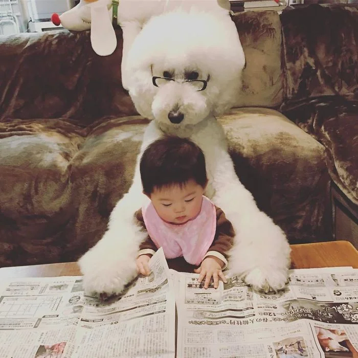 Маленька японка вважає себе пуделем і дружить з гігантськими собаками - фото 331286