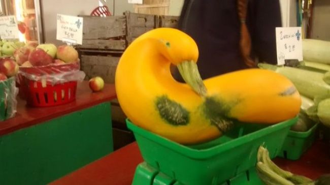 Странные продукты, которые вы никогда в жизни не захотите есть - фото 334693