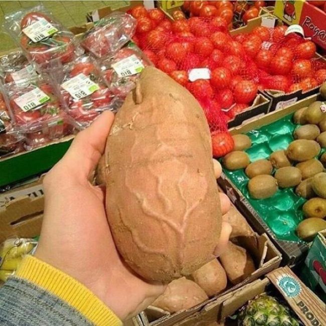 Странные продукты, которые вы никогда в жизни не захотите есть - фото 334695
