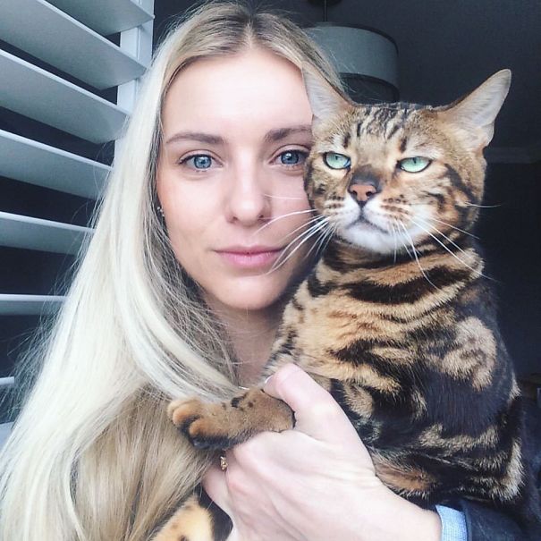 Веселі фото, які доводять, що коти не люблять усі ці ваші тупі селфі - 333522 Веселі фото, які доводять, що коти не люблять усі ці ваші тупі селфі - фото 333522
