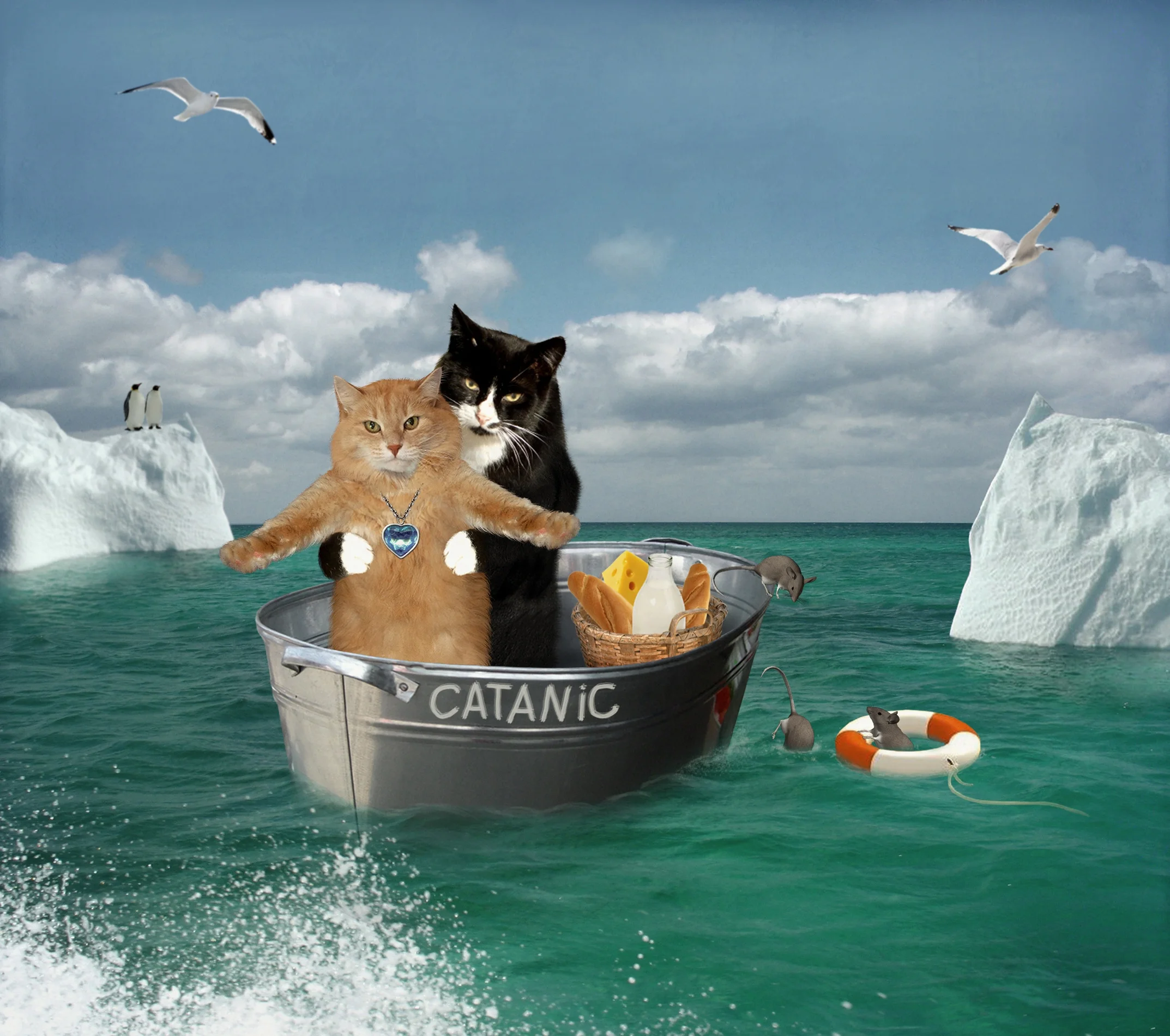 Прикольные картинки на море. Занавеска в ванную с котом. Кот на море. Штора для ванны с котом. Коты в лодке.