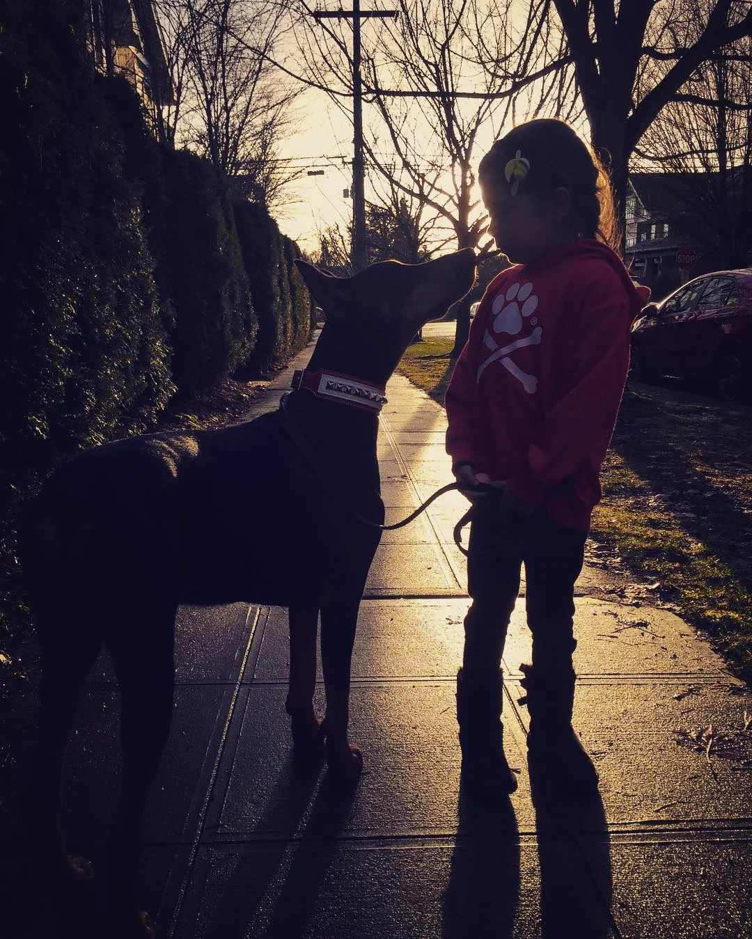 Удивительная дружба маленькой девочки и огромной собаки - это самое милое, что вы видели - фото 334739