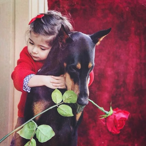 Удивительная дружба маленькой девочки и огромной собаки - это самое милое, что вы видели - фото 334732