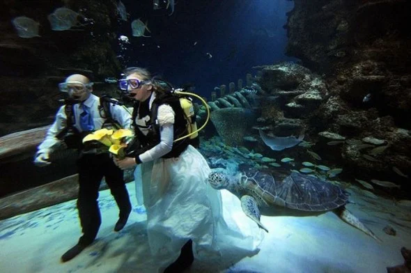 Фото восхищают: в США молодожены сыграли свадьбу на дне океана - фото 339837