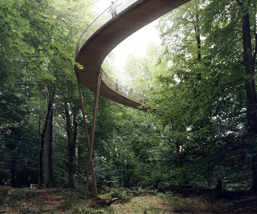 В Дании строится огромный спиральный мост над лесом - фото 342007