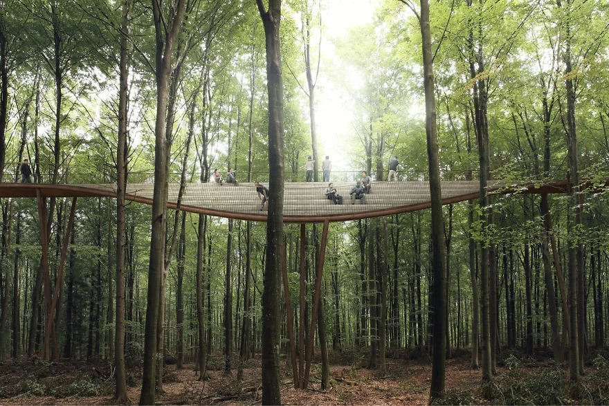 В Дании строится огромный спиральный мост над лесом - фото 342009