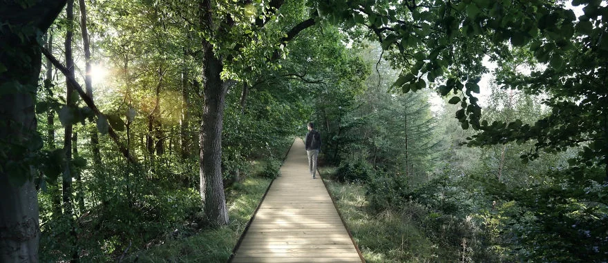 В Дании строится огромный спиральный мост над лесом - фото 342003