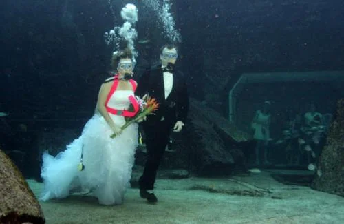 Фото вражають: у США наречені зіграли весілля на дні океану - фото 339839