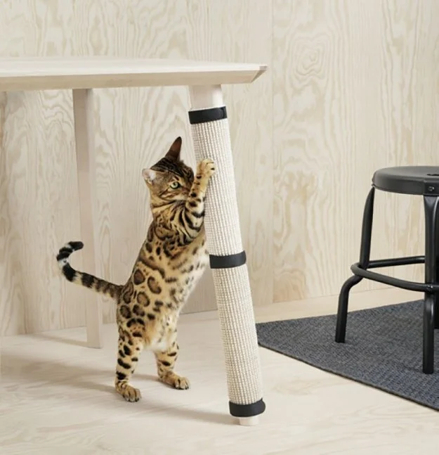 Пухнастий затишок: IKEA випустила ексклюзивну лінію меблів для тварин - фото 344564