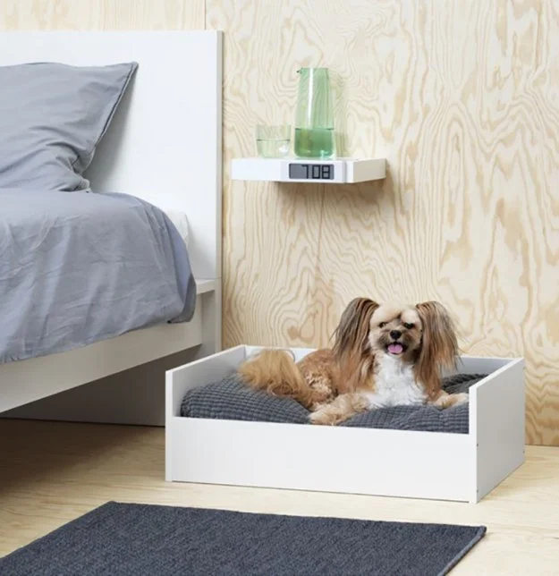 Пухнастий затишок: IKEA випустила ексклюзивну лінію меблів для тварин - фото 344562