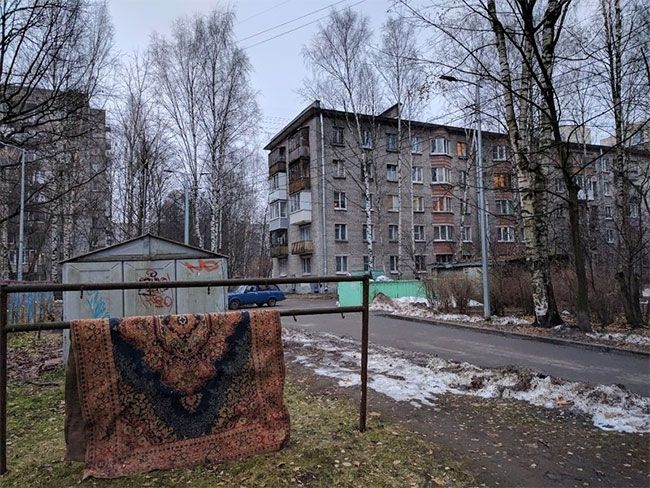 Советский юмор: неожиданные способы использования ковра - 348127 Советский юмор: неожиданные способы использования ковра - фото 348127