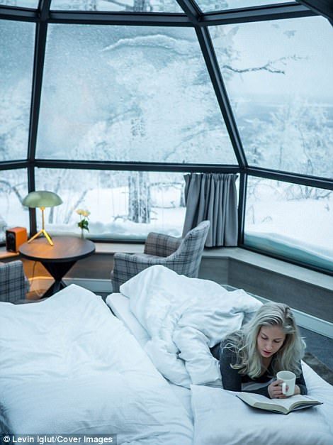 Дивовижний готель у Фінляндії пропонує гостям послугу, якої ніде більше не знайдеш - фото 346481