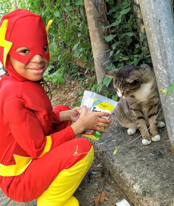 Храброе сердце: 5-летний мальчик в костюмах супергероев спасает уличных котов - фото 346830