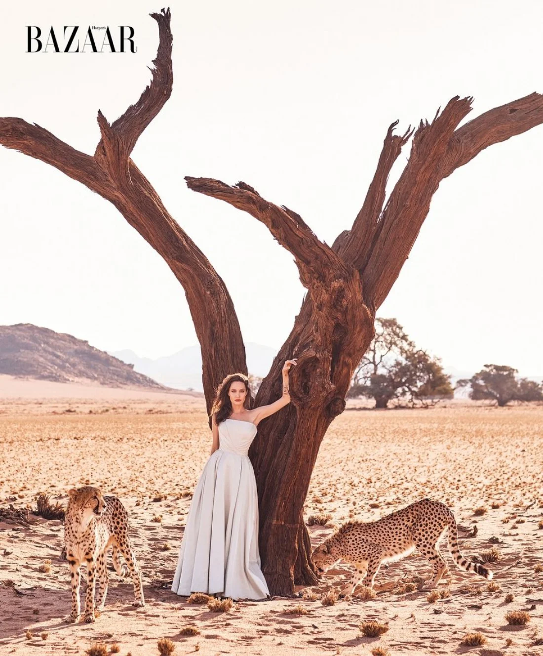 Анджелина Джоли укротила гепардов ради мирового глянца - фото 345265