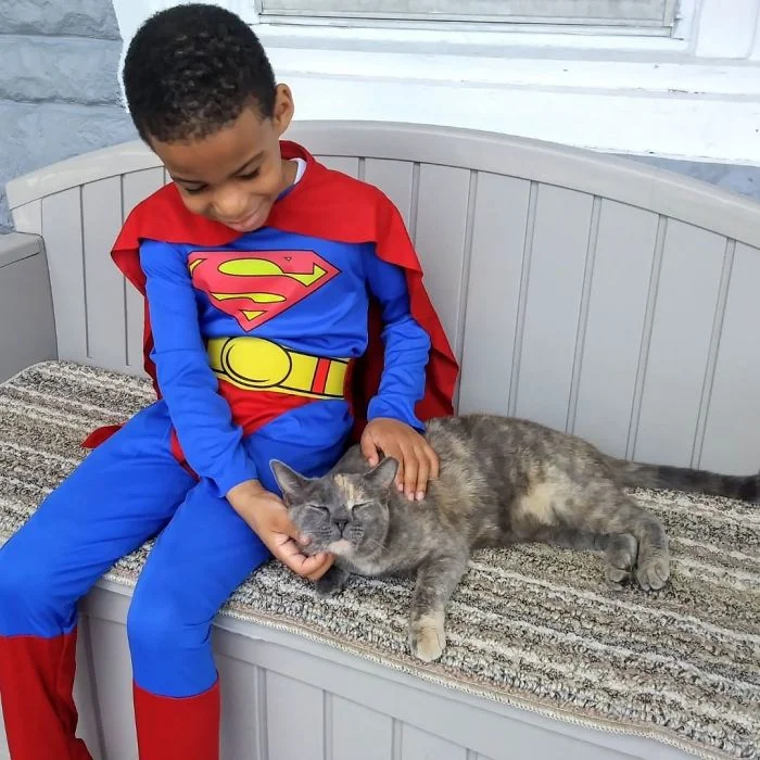 Хоробре серце: 5-річний хлопчик у костюмах супергероїв рятує вуличних котів - фото 346825